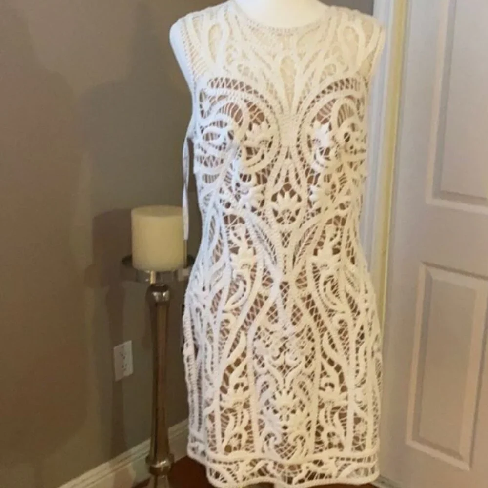 Tadashi Shoji NWT Illusion Crochet Lined Dress - Picture 8 of 16